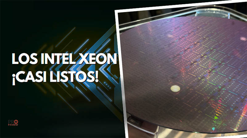 Intel Xeon Granite Rapids Son Fabricados En Intel Fotos De Oblea