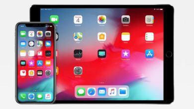 Cómo acceder al Centro de Control y a la Pantalla de Inicio en el iPad con iOS 12