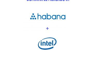 Habana labs