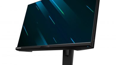 Acer Predator X25