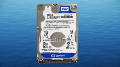 Western Digital Blue