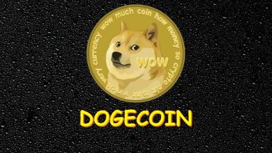 criptomoneda doge