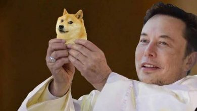 elon musk dogecoin