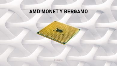 amd monet