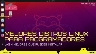 Mejores distribuciones Linux para programadores