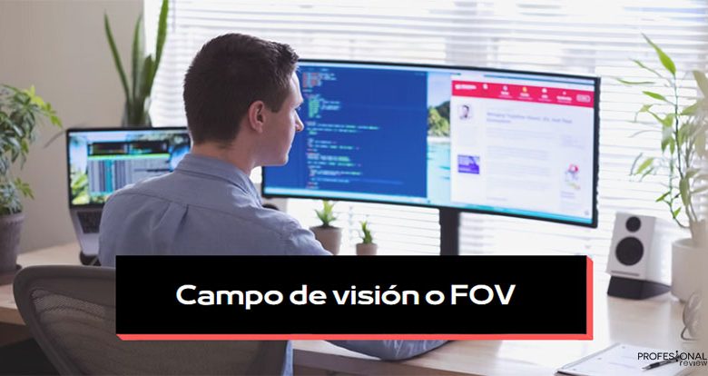 campo de visión