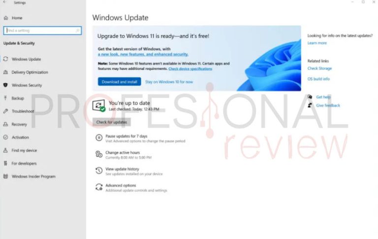 Cómo Actualizar De Windows 10 A Windows 11 Con Diferentes Métodos Infotec 8109