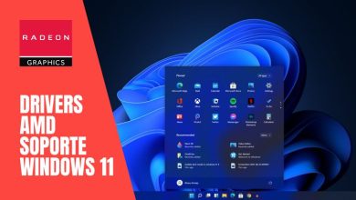 controladores amd adrenalin sistema operativo windows 11