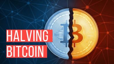 halving bitcoin