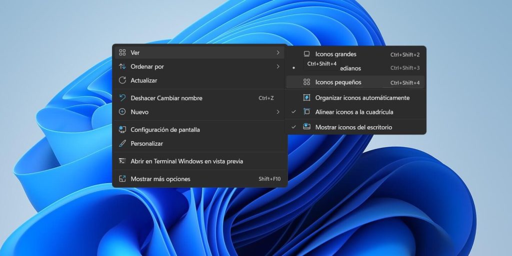 Cómo Cambiar El Tamaño De Los Iconos En Windows 11 5582