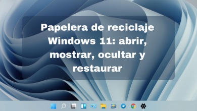 Papelera de reciclaje Windows 11 abrir, mostrar, ocultar y restaurar - 00