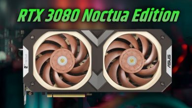 RTX 3080 Noctua Edition