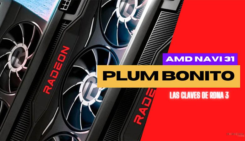 amd plum bonito