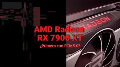 amd radeon rx 7900 xt