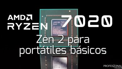 AMD Ryzen y Athlon 7020