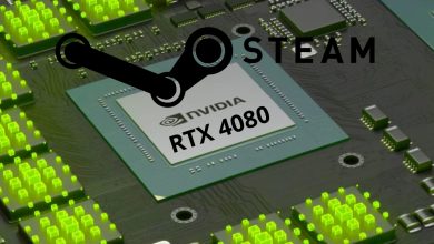 RTX 4080 Steam