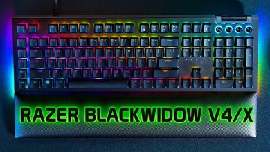 BlackWidow V4