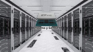 AMD EPYC Bergamo y Genoa-X