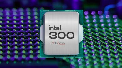 CPU Intel 300