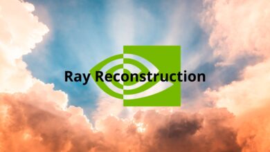 Ray Reconstruction