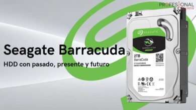 Seagate Barracuda