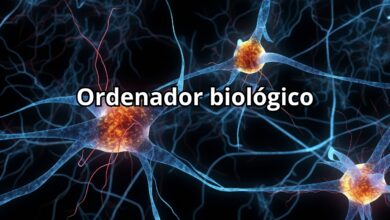 ordenador biológico