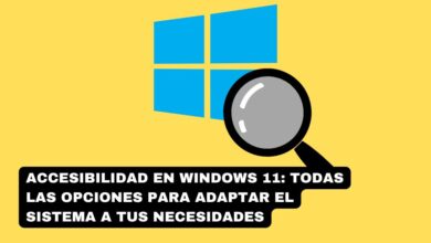 Accesibilidad en Windows 11