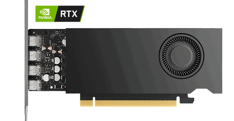 Nvidia RTX 2000E: Nueva variante de GPU para estaciones de trabajo de bajo perfil