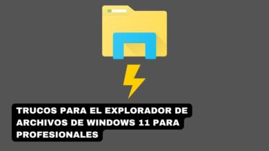 Trucos para el Explorador de Archivos de Windows 11 para profesionales