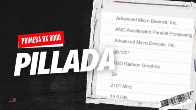 amd rx 8000 benchmark