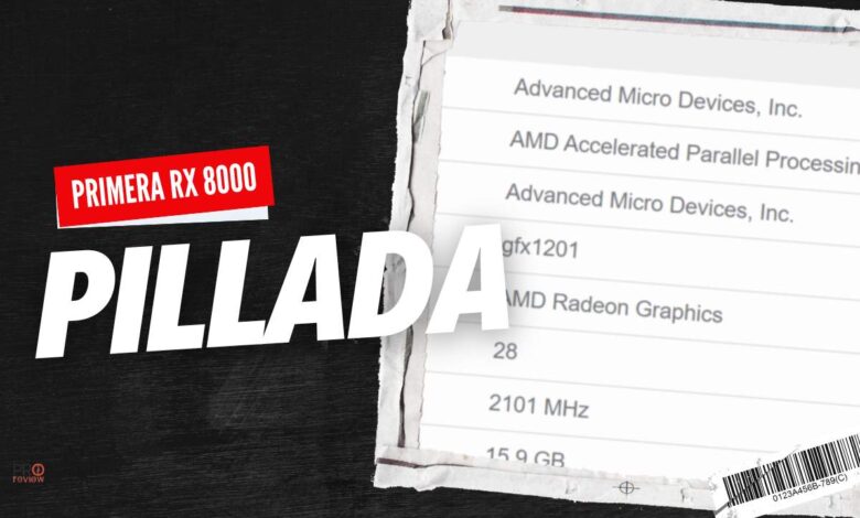 amd rx 8000 benchmark