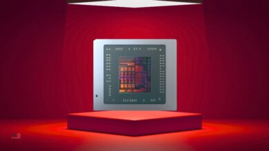 amd strix point lanzamiento