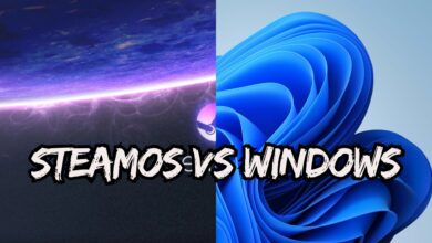 Steam OS vs Windows