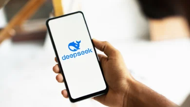 DeepSeek