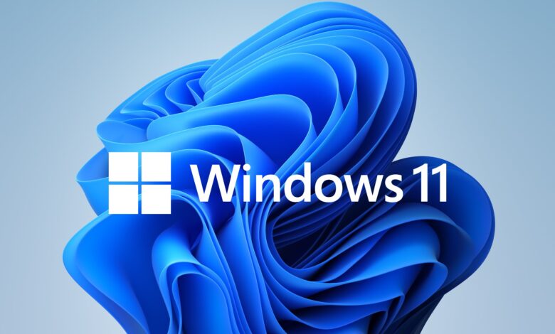 Windows 11