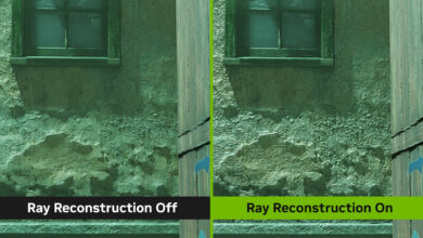 Ray Reconstruction